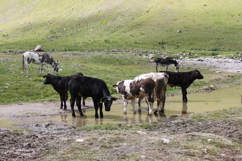 Dependance Sporting Hotel Livigno